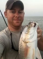 redfish, curl-tail jig