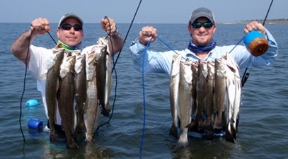 speckled trout, cat island