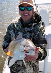 Huge Redfish