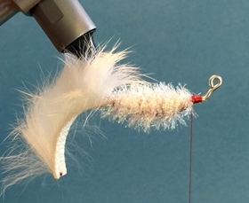 tying buggs