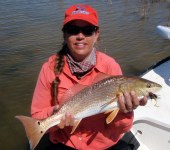 kaylin barlow, big redfish