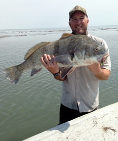 curl tail jig, drum