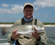 speckled trout