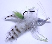 white stripe beastie bugg