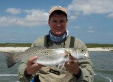 Speckled Trout